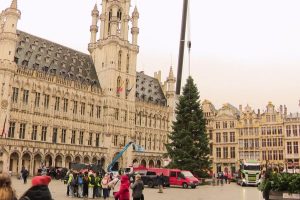 "Un côté exceptionnel" : le sapin de Noël géant fait son grand retour sur la Grande-Place