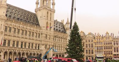 "Un côté exceptionnel" : le sapin de Noël géant fait son grand retour sur la Grande-Place