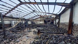 illustration agrandir l