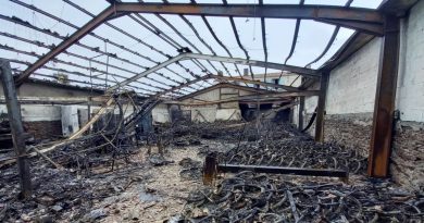 illustration agrandir l