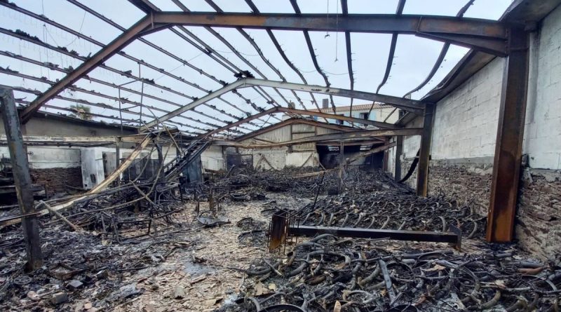 illustration agrandir l