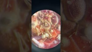 Un étrange être en Norvège : histoire, voyage et musique