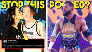 Un fan de WWE va trop loin : AJ Lee exige un arrêt !