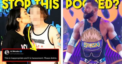 Un fan de WWE va trop loin : AJ Lee exige un arrêt !