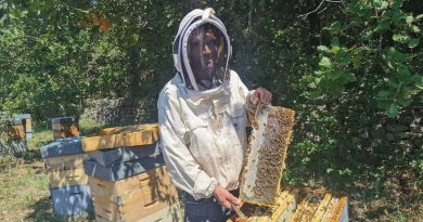 Un forum gratuit organisé dans le Gard rhodanien pour sensibiliser petits et grands aux dangers qui pèsent sur les abeilles
