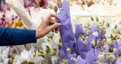 Un grand marché aux fleurs se prépare à Lyon