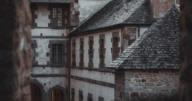 Normandie, Caen, Rouen, Mont-Saint-Michel, cliff, beach, cow, landscape, D-Day