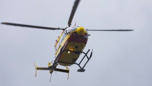 illustration agrandir l