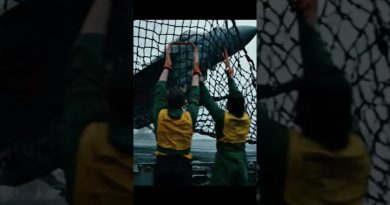 Un jet en difficulté face à des vents violents lors de l'atterrissage