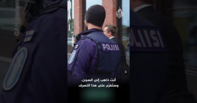 Un journaliste interroge le président finlandais sur les armes israéliennes