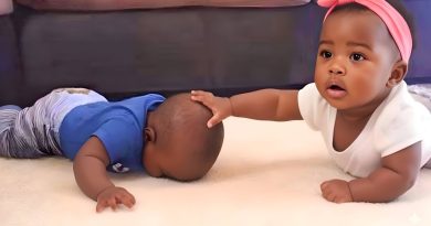 Un jumeau pousse son frère au sol en rampant : la raison choquante