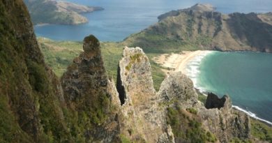 Un nageur mordu au bras par un requin aux îles Marquises