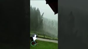 Un ouragan dévastateur frappe la France : tempêtes violentes en cours