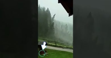 Un ouragan dévastateur frappe la France : tempêtes violentes en cours