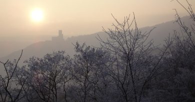 Grand Est, Strasbourg, Reims, vineyard, Alsace, Vosges, forest, cathedral, village