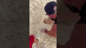 Un peu en retard, mais cette tendance est adorable !