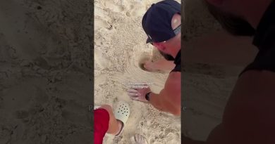 Un peu en retard, mais cette tendance est adorable !