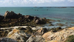 illustration agrandir l