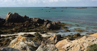 illustration agrandir l