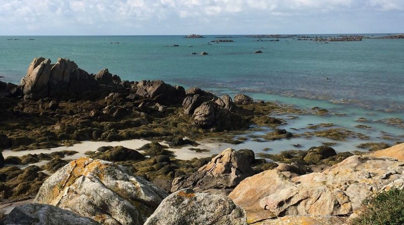 illustration agrandir l