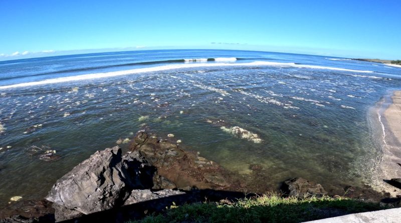 Un poisson papillon africain observé pour la première fois à La Réunion