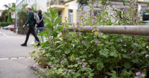 Un quartier pilote sans émissions polluantes va voir le jour à Zurich | RTS