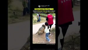 Un robot-chien chinois inspiré des dinosaures ! 🦖🤖