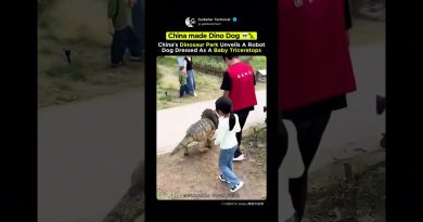 Un robot-chien chinois inspiré des dinosaures ! 🦖🤖