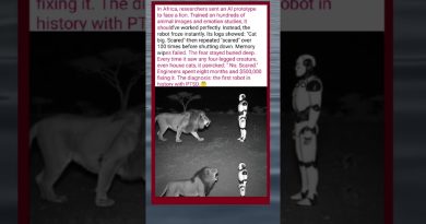 Un robot développe un PTSD après une rencontre avec un lion