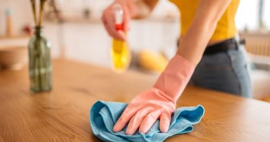 Un spray anti-poussière maison et naturel à faire en quelques minutes - ICI