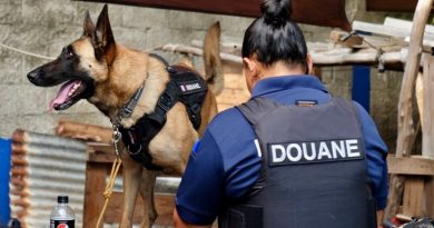 Un trafic de stupéfiants démantelé dans un nakamal à Rivière-Salée