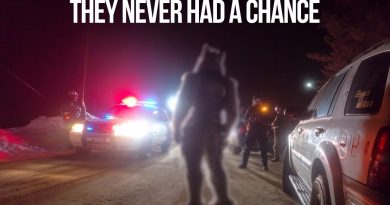 Un tueur en série à Yellowstone... mais ce n'est pas humain