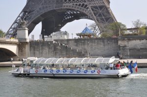 Pays de la Loire, Nantes, Angers, Loire river, castle, vineyard, coast, landscape
