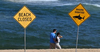 Une attaque de requin fait un mort et un blessé en Australie