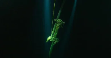 Les deux mâts en bois sont visibles dans la noirceur des eaux profondes.