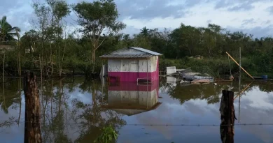 Une épidémie de la leptospirose se déclare à la Jamaïque