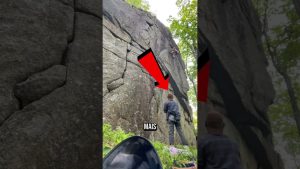 Une erreur fatale qui coûte cher...