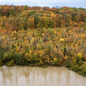 Une gestion durable des forêts : accompagner les propriétaires forestiers privés