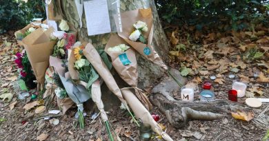 illustration agrandir l