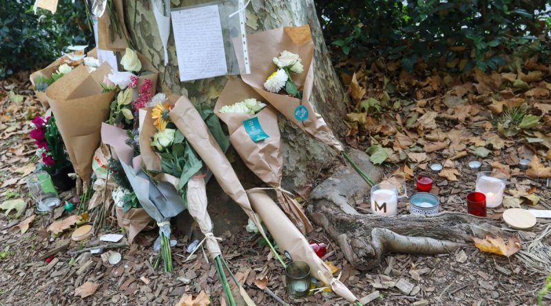 illustration agrandir l