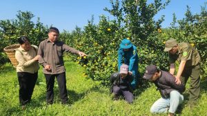 Une mère courageuse dénonce les crimes de deux malfrats
