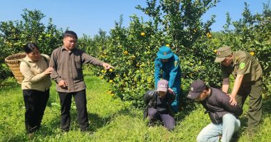 Une mère courageuse dénonce les crimes de deux malfrats