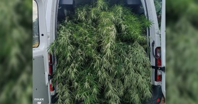 Une plantation de cannabis dans la case mémé, ou le "business plan" presque parfait des trafiquants amateurs