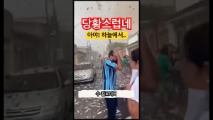 Une pluie de poissons s'abat sur la route