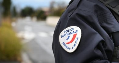 Une policière se fait agresser lors des commémorations du 11 novembre : une femme placée en détention