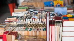 Une vente de livres solidaires pour cet hôpital de Maine-et-Loire