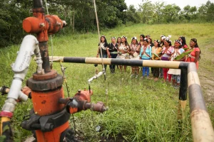 Urgence linguistique, urgence climatique : même combat