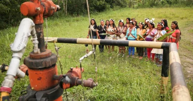 Urgence linguistique, urgence climatique : même combat