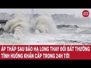 Urgence météo : un nouvel épisode après la tempête Hạ Long