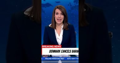 Urgent : Le Danemark ANNULE un important contrat d'armement israélien !